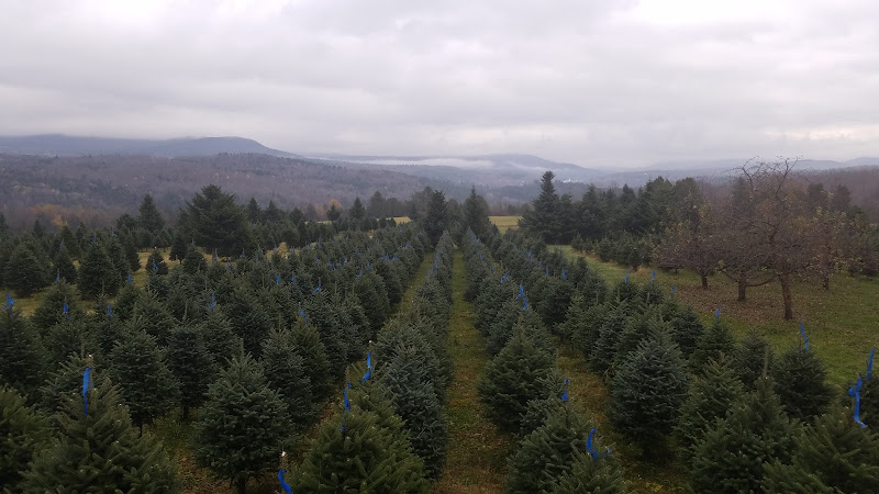Asack & Son Tree Farm