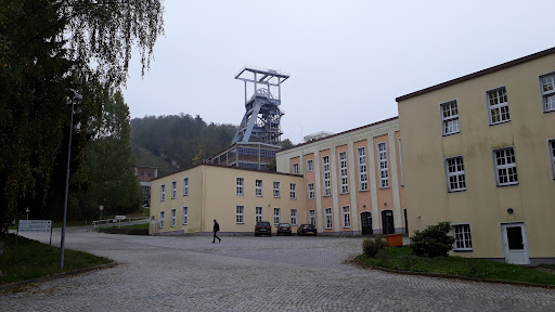 Die Lagerstättensammlung der Wismut GmbH - Thumbnail