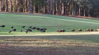 Photos of World Woods Golf Club