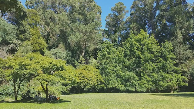 Dracena Quarry Park