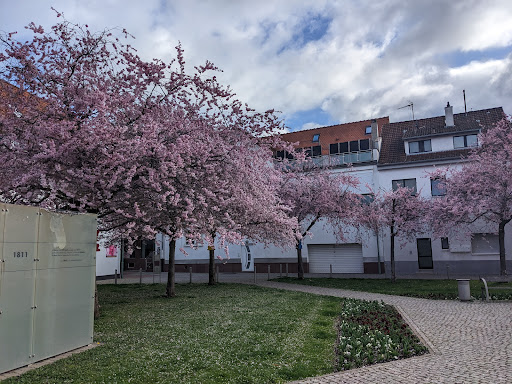 Am Astorgarten - Thumbnail
