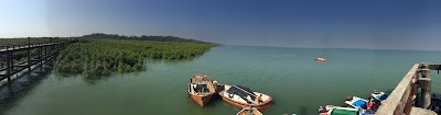 Photos of Moheshkhali Terminal