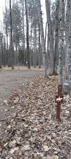 Courtney Lake Campground - Thumbnail