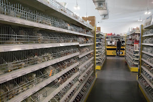 Photo n°3 de SISCA SIDV Comptoir Professionnel à Saint-Jean-de-Luz (Magasin de carrelage)