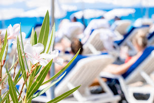 Photo n°53 de La Vela à Nice (Restaurant méditerranéen)