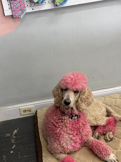 Cherie’s pet salon