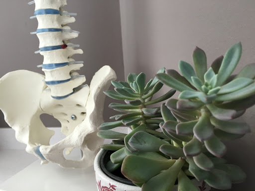 CAMSALUT. Centre d'osteopatia, fisioterapia i salut Cristina Arjonilla
