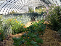 Le Clos de Barbeirane à Cabasse