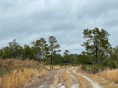 Prices Scrub Preserve Trailhead