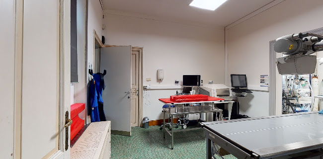 http://www.chirurgieveterinaire.be/