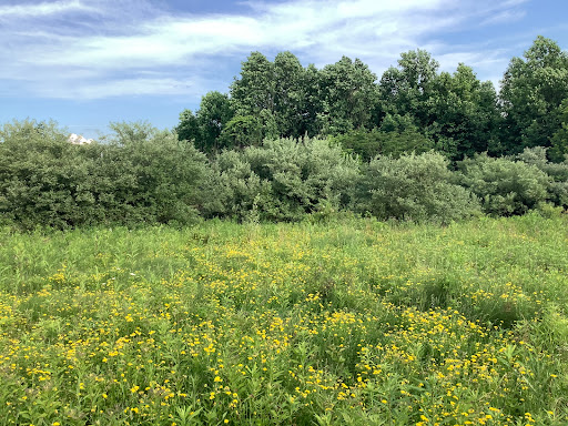 Foran Fields - Thumbnail