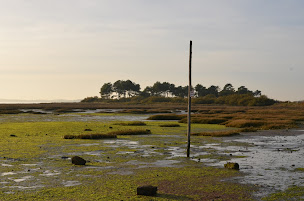 Photo n°7 de Les Bateaux d'Alex à Lège-Cap-Ferret (Service d'organisation d'événements professionnels)