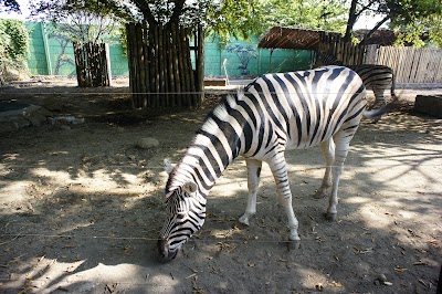 Photos of Batang Dolphins Center