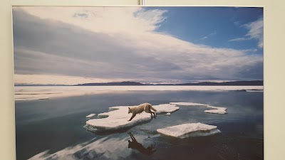 Photos of National Museum of the Republic of Kazakhstan