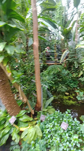 Palm Greenhouse