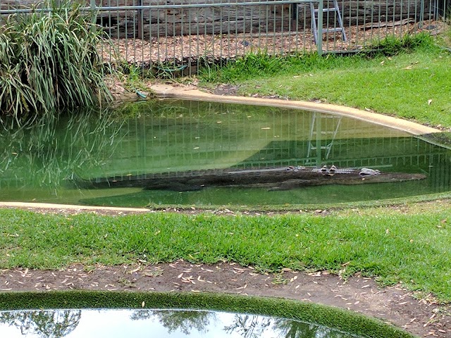 Australian Reptile Park