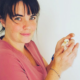 Photo n°22 de VETHIPPO'DOME CLINIQUE VETERINAIRE CHIENS CHATS CHEVAUX 24/24 7/7 SUR APPEL PRÉALABLE ENNEZAT à Ennezat (Clinique vétérinaire)