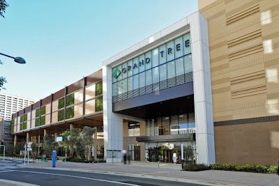 イトーヨーカドー グランツリー武蔵小杉店