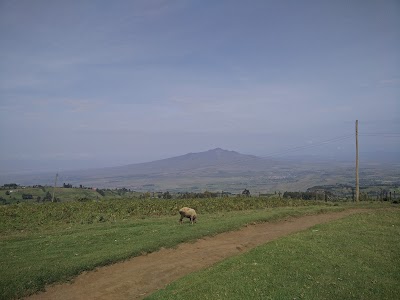 Photos of Chicken Inn-Viewpoint