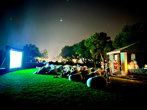 Backyard Starz - Visual