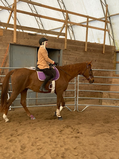 Destiny Equestrian Complex - Visual