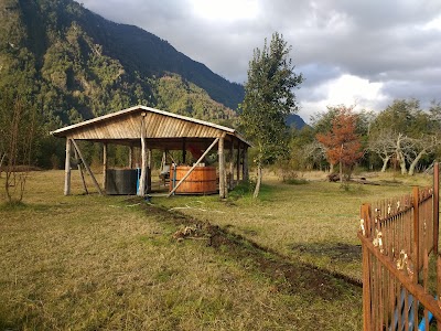 Photos of Donde Yoyo