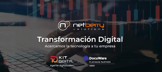 Netberry Solutions Albacete