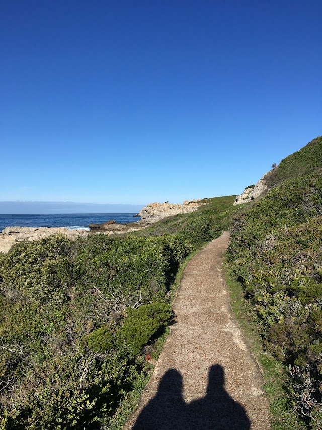 Hermanus Cliff Path Biodiversity Walk