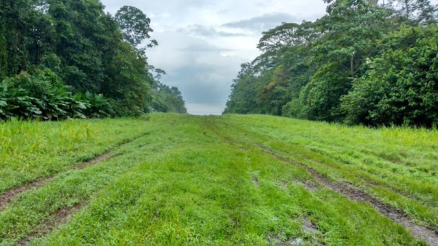 Corcovado National Park