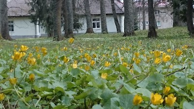 Photos of &Uuml;lenurme park