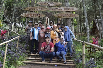 Photos of Gunung Gogoniti