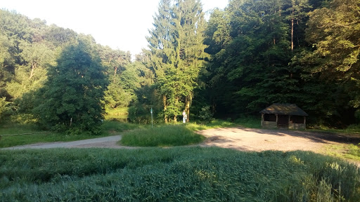 Angelteich - Visual