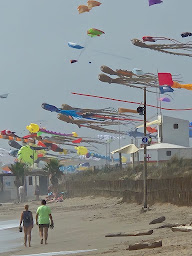Photo n°7 de Maui plage,plage privée,snack, buvette, location stand up paddle pédalos à Portiragnes (Bar)