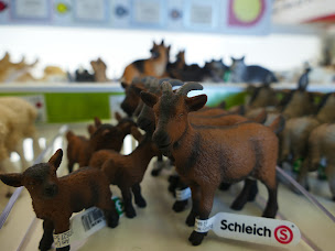 Photo n°7 de CHOLET à Cholet (Magasin de jouets)