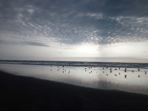 COSTA MAR Gallery - Mexico