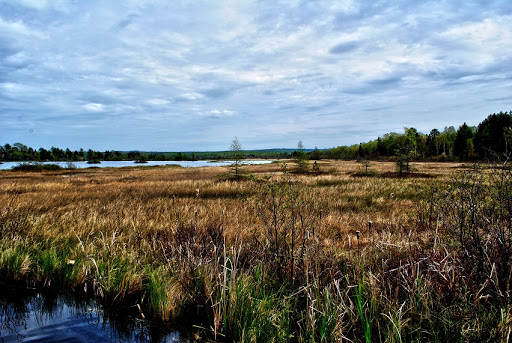 Bark Bay Slough State Natural Area Logo