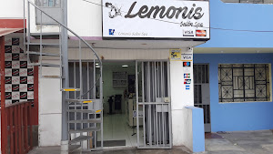 Lemonis Salon 1