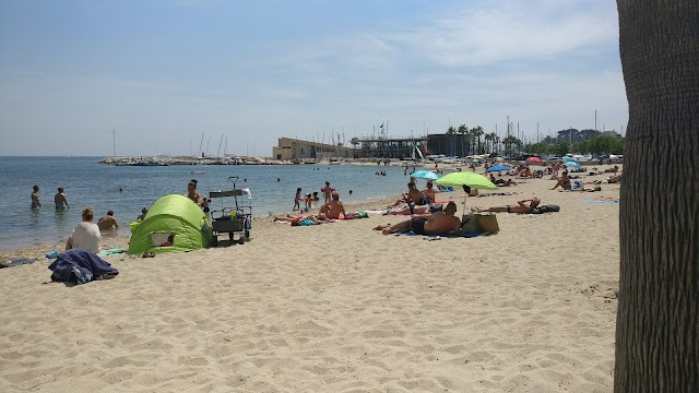 Plage centrale