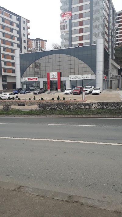 car-dealer