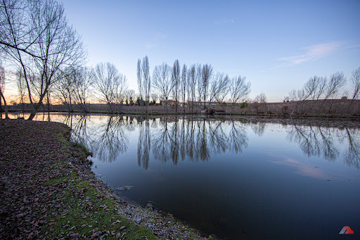 Palude Mantellina - Thumbnail