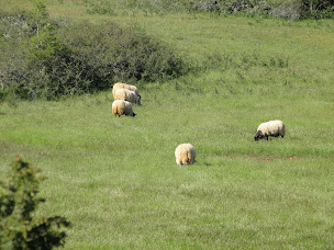 Photo n°15 de L'Oustal du Larzac à La Bastide-Pradines (Gîte)