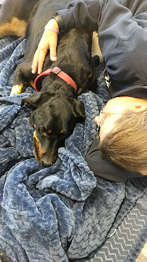 North Airline Animal Hospital Gallery - United States