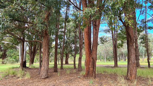 Bunyarra Drive Reserve - Thumbnail