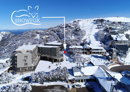 Snowfox - Thumbnail