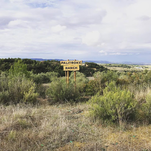 Palitroke Ranch Omellons. by IMSI pro - Thumbnail