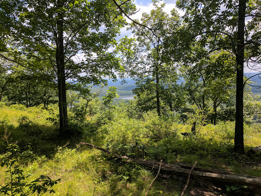 Upper Spur Trail Head