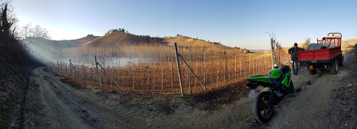 Montefico - Visual
