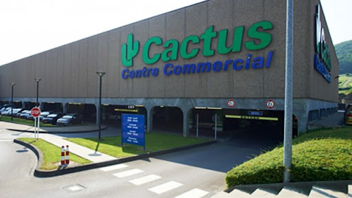 Cactus Ingeldorf