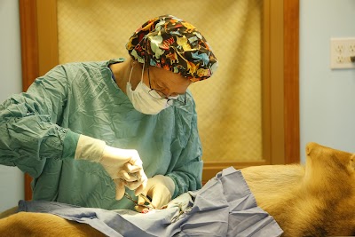 Photos of Plum Creek Regional Animal Medical Center