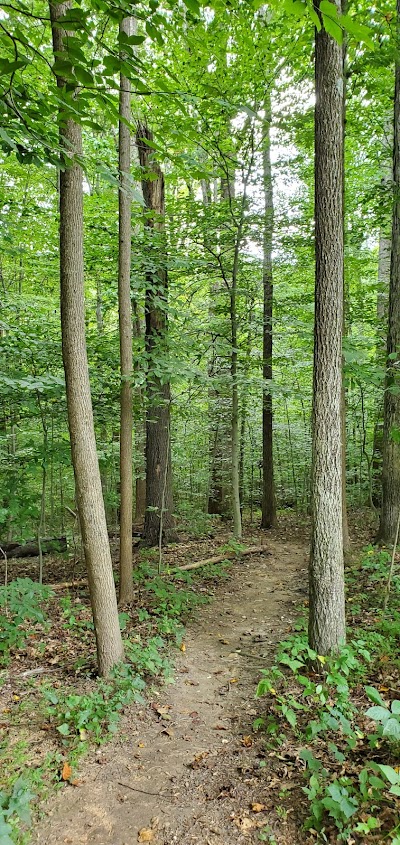 Fairfax County Government Park